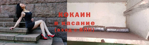 стаф Михайловск