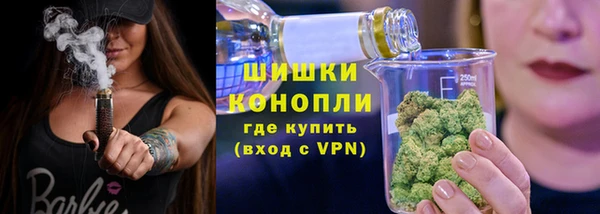 стаф Михайловск