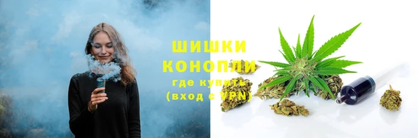 apvp Михайлов