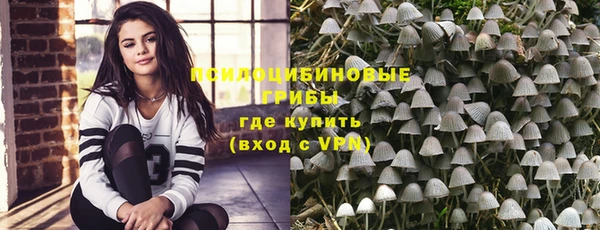 стаф Михайловск